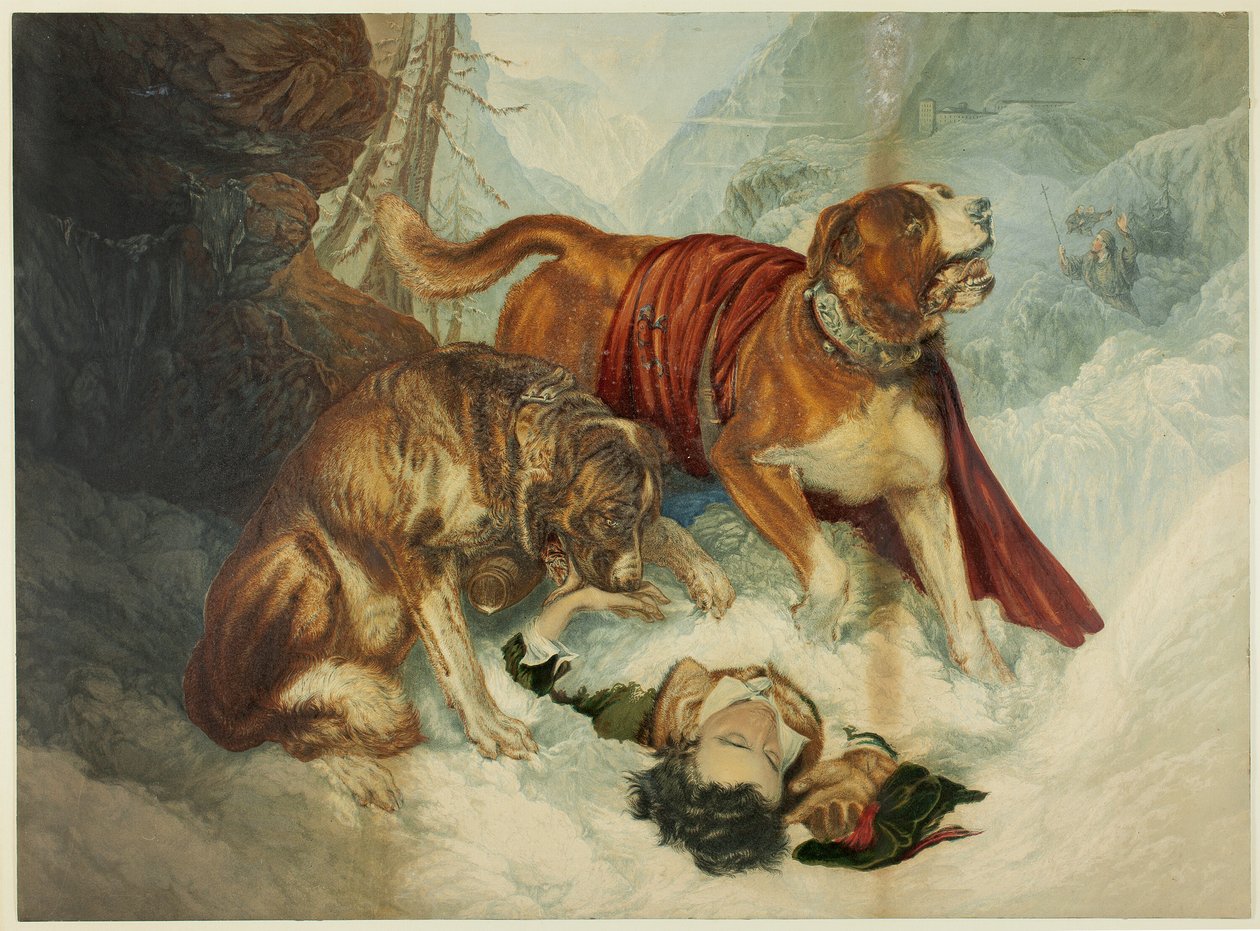 Os cães de São Bernardo de George Baxter
