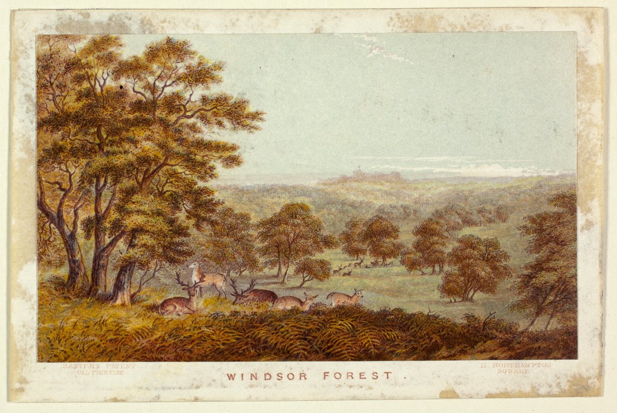 Floresta de Windsor - versão de bolso de George Baxter