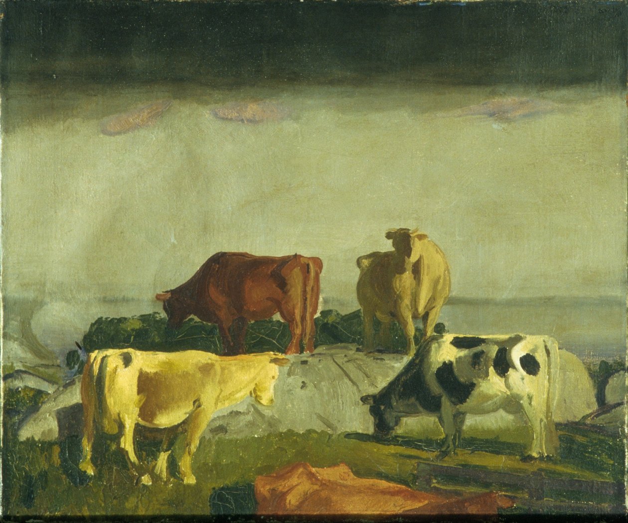 The Red Vine, Ilha de Matinicus, Maine de George Bellows