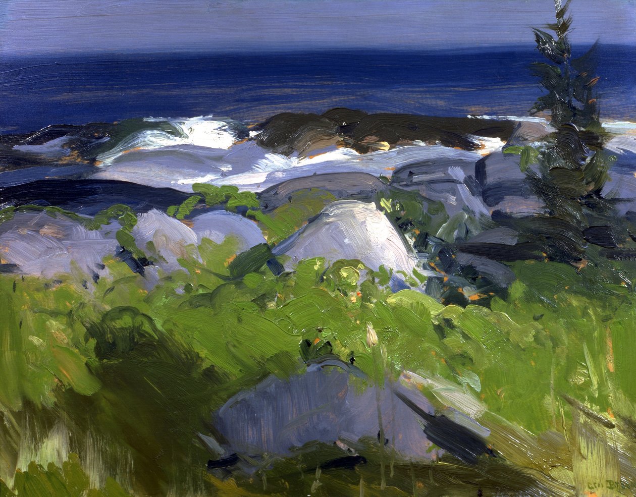 Costa coberta de videiras - Ilha Monhegan de George Bellows