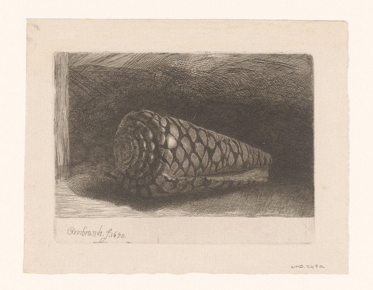 A concha de George Bickham (II)