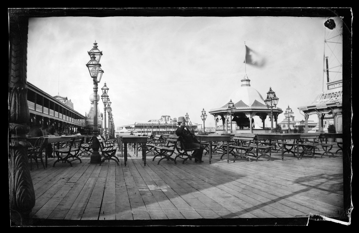 Cabos e Vaca de Ferro, Coney Island, Brooklyn, c.1872-87 (wet-collodion negative) de George Bradford Brainerd