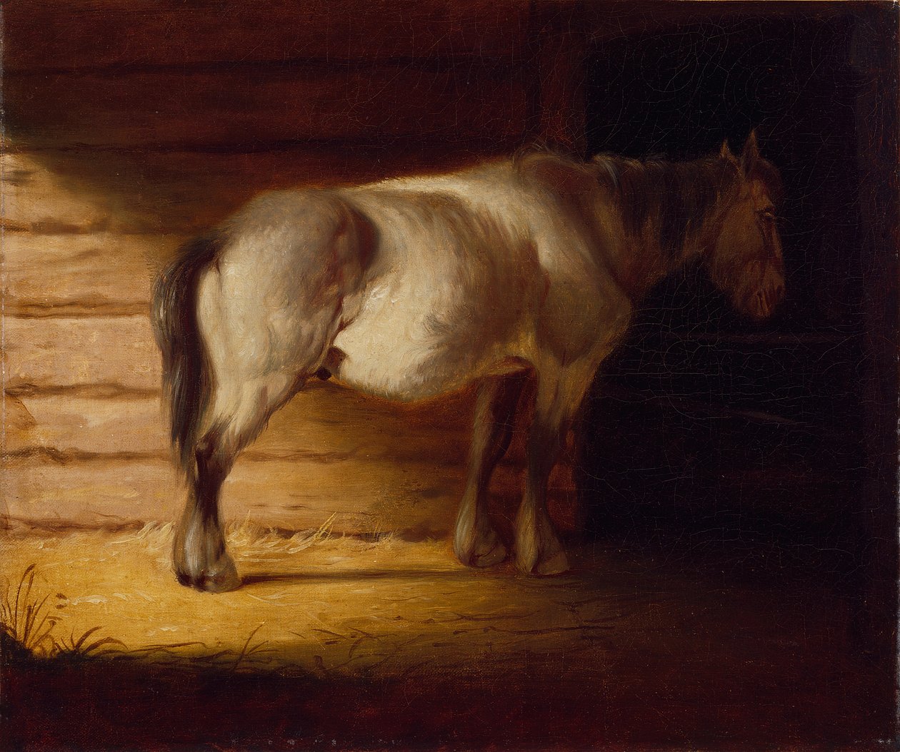Cavalo velho do campo, de 1856 (óleo sobre tela) de George Caleb Bingham