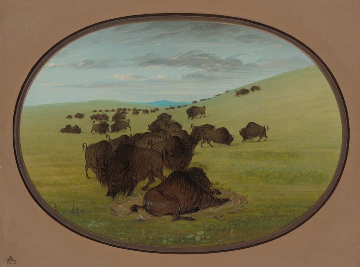 A Buffalo Wallow, 18611869. de George Catlin