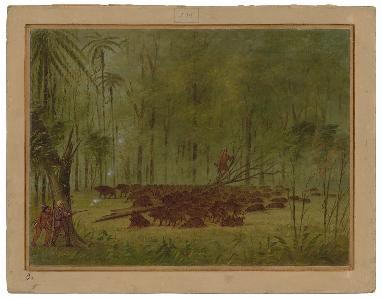 Uma luta com queixadas - Caribbe de George Catlin