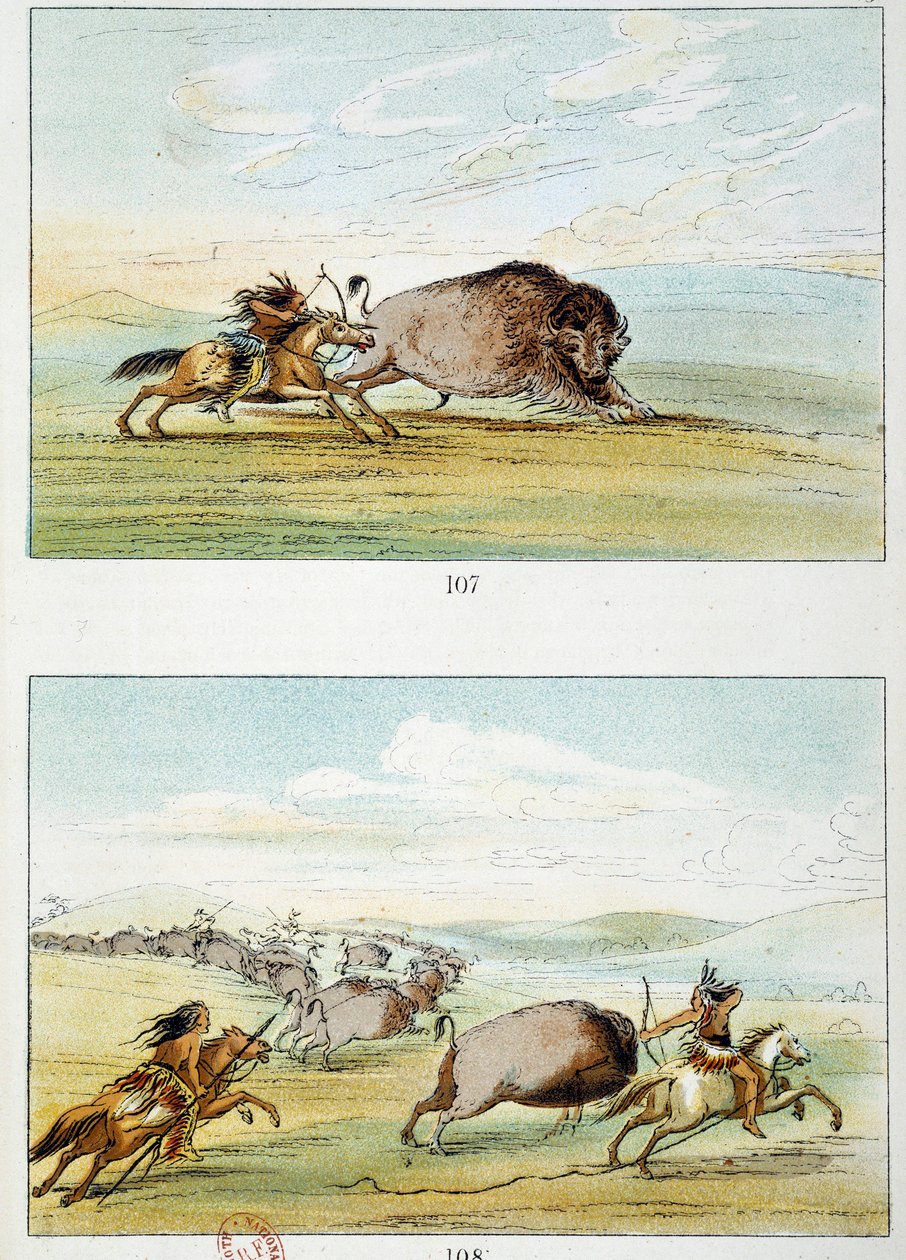 Índios americanos: caça ao bisonte. Ilustração de George Catlin (1794-1872) de George Catlin