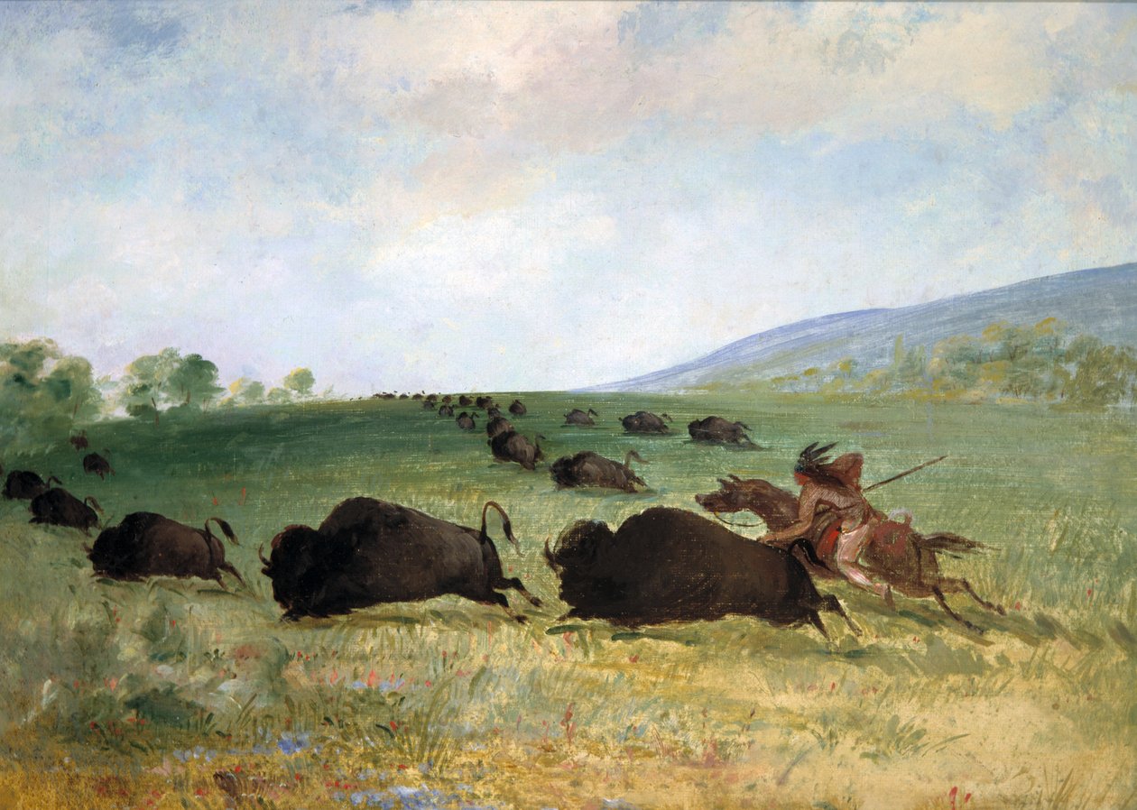 Um índio Osage a ferir um búfalo de George Catlin