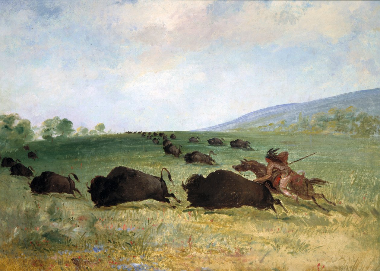 Um índio Osage lançando um búfalo, 1846-1848. de George Catlin