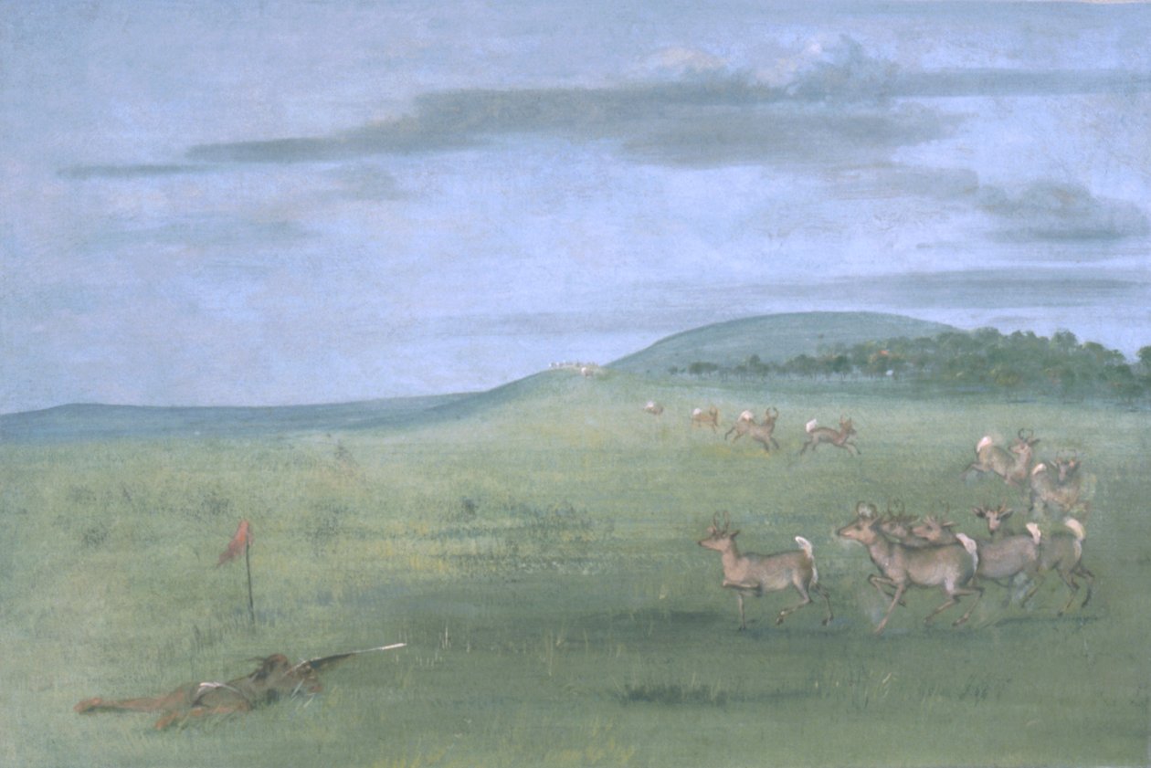 Tiro ao antílope, engodo de George Catlin