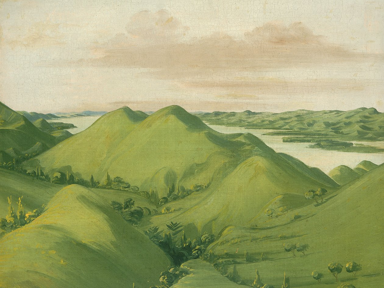 Floresta. de George Catlin
