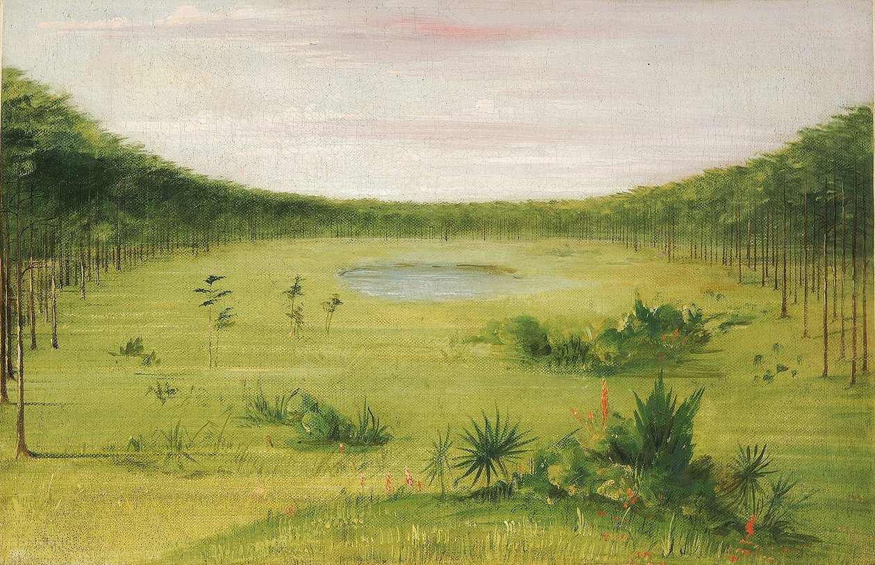Bela savana nos pinhais da Flórida de George Catlin