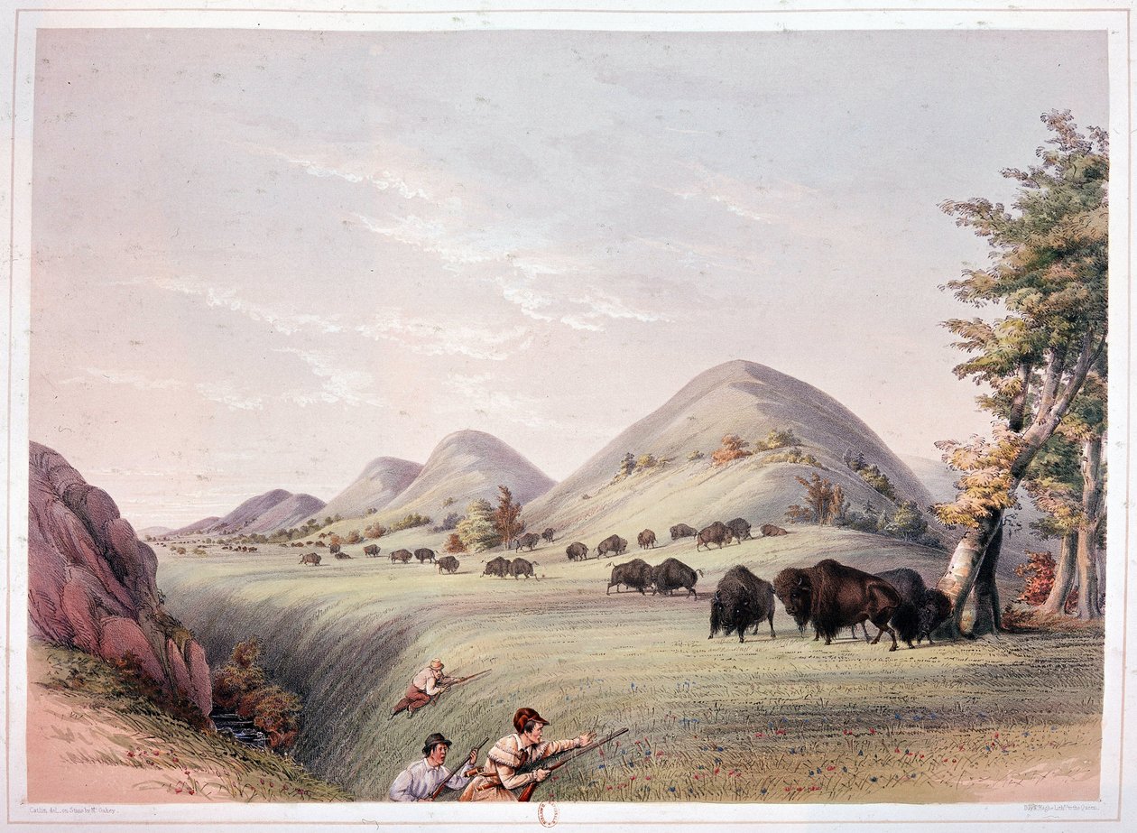 Caça ao bisonte de George Catlin