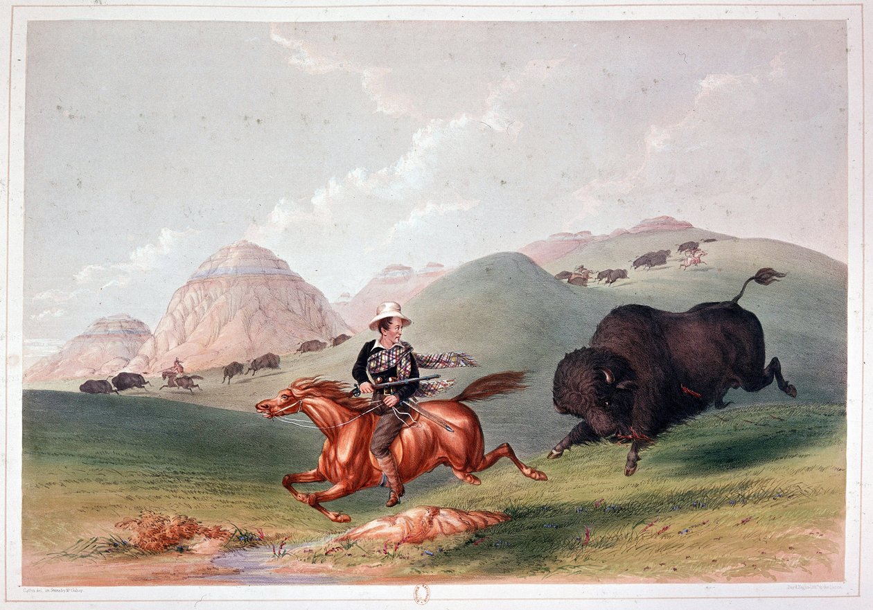 Bison Hunt na América do Norte - litografia de Georges Catlin de George Catlin