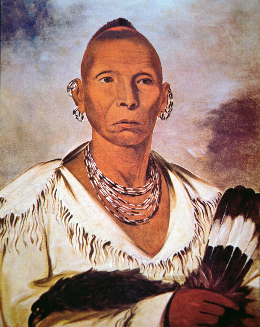 "Gavião Negro". de George Catlin