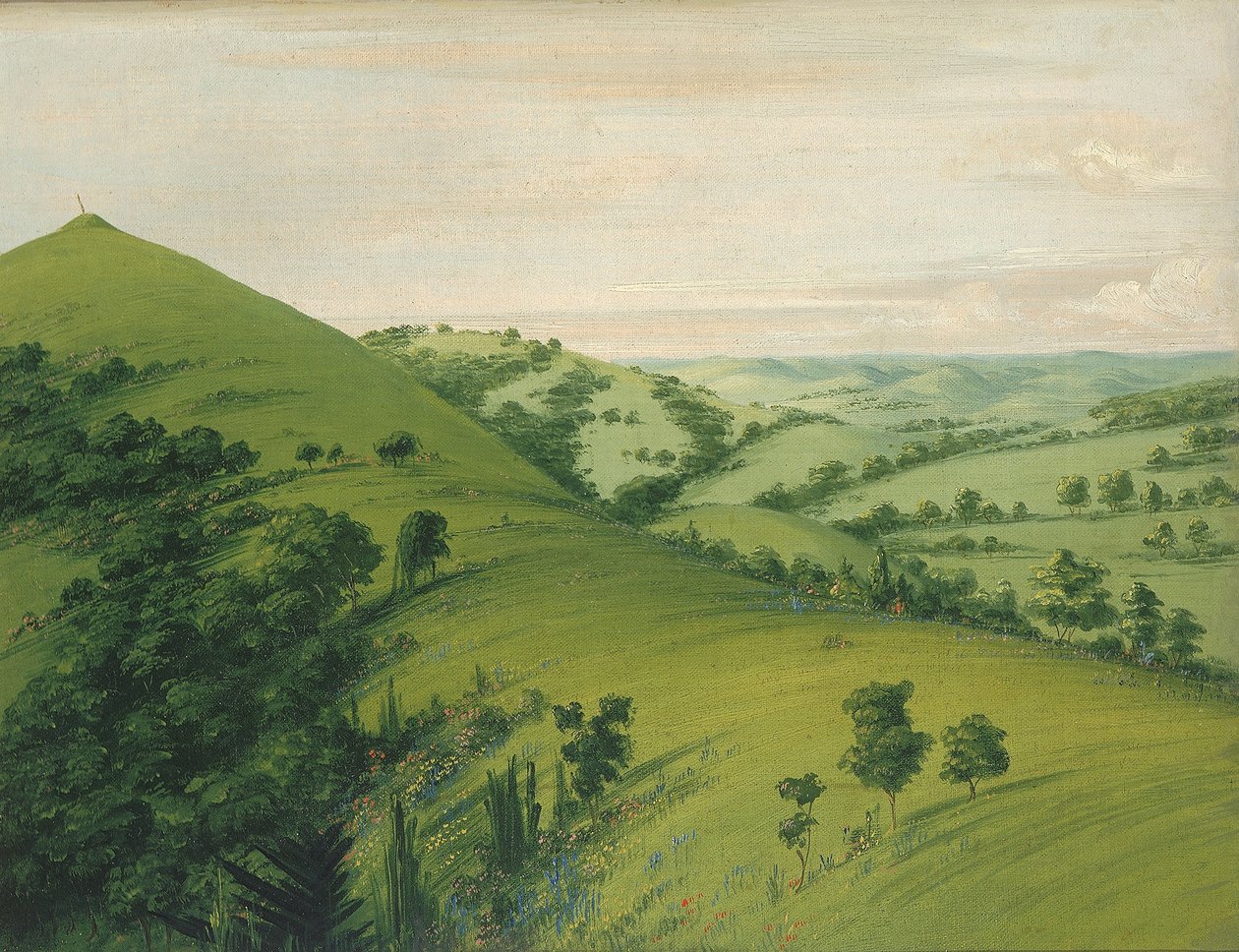 Túmulo do melro, vista traseira, pradarias esmaltadas com flores de George Catlin