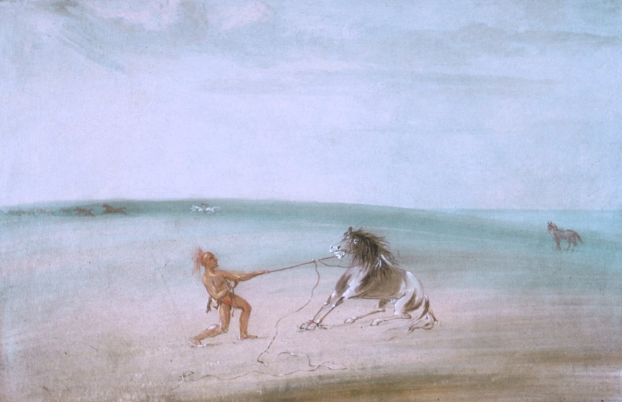 Desmantelar o cavalo selvagem de George Catlin