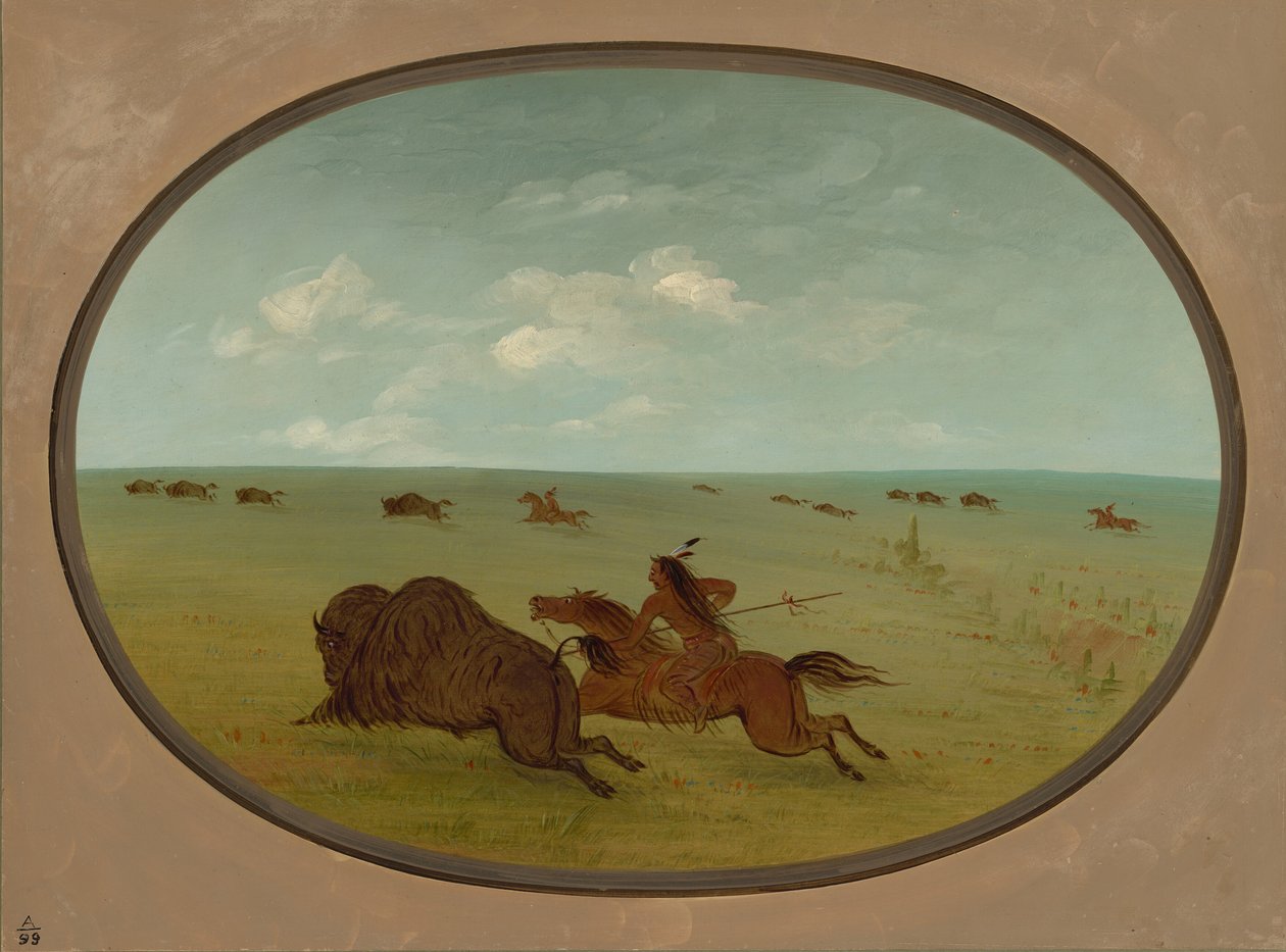 Floresta. de George Catlin