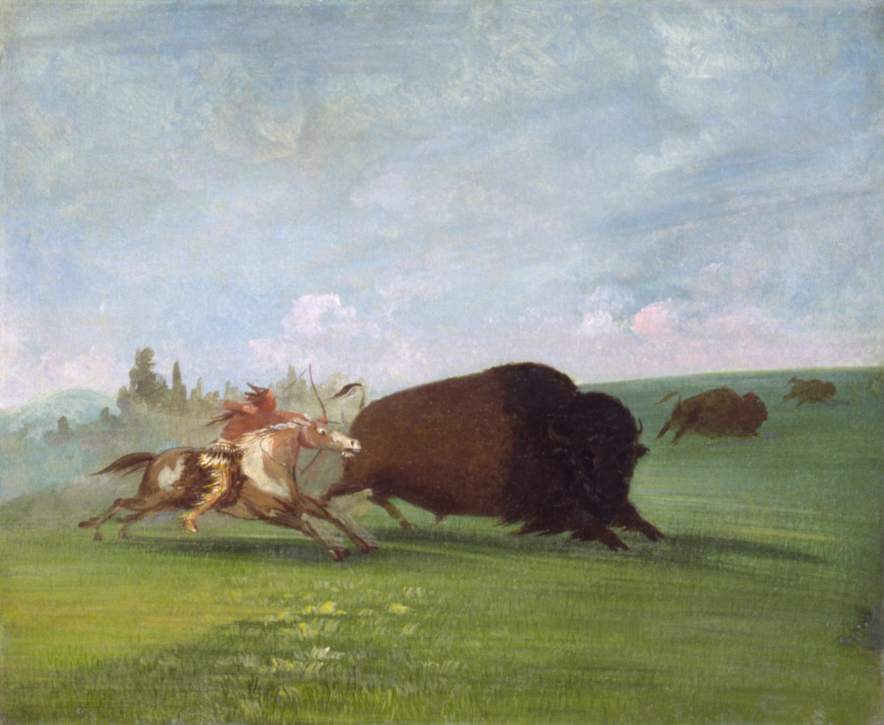 Buffalo Chase, uma morte única de George Catlin