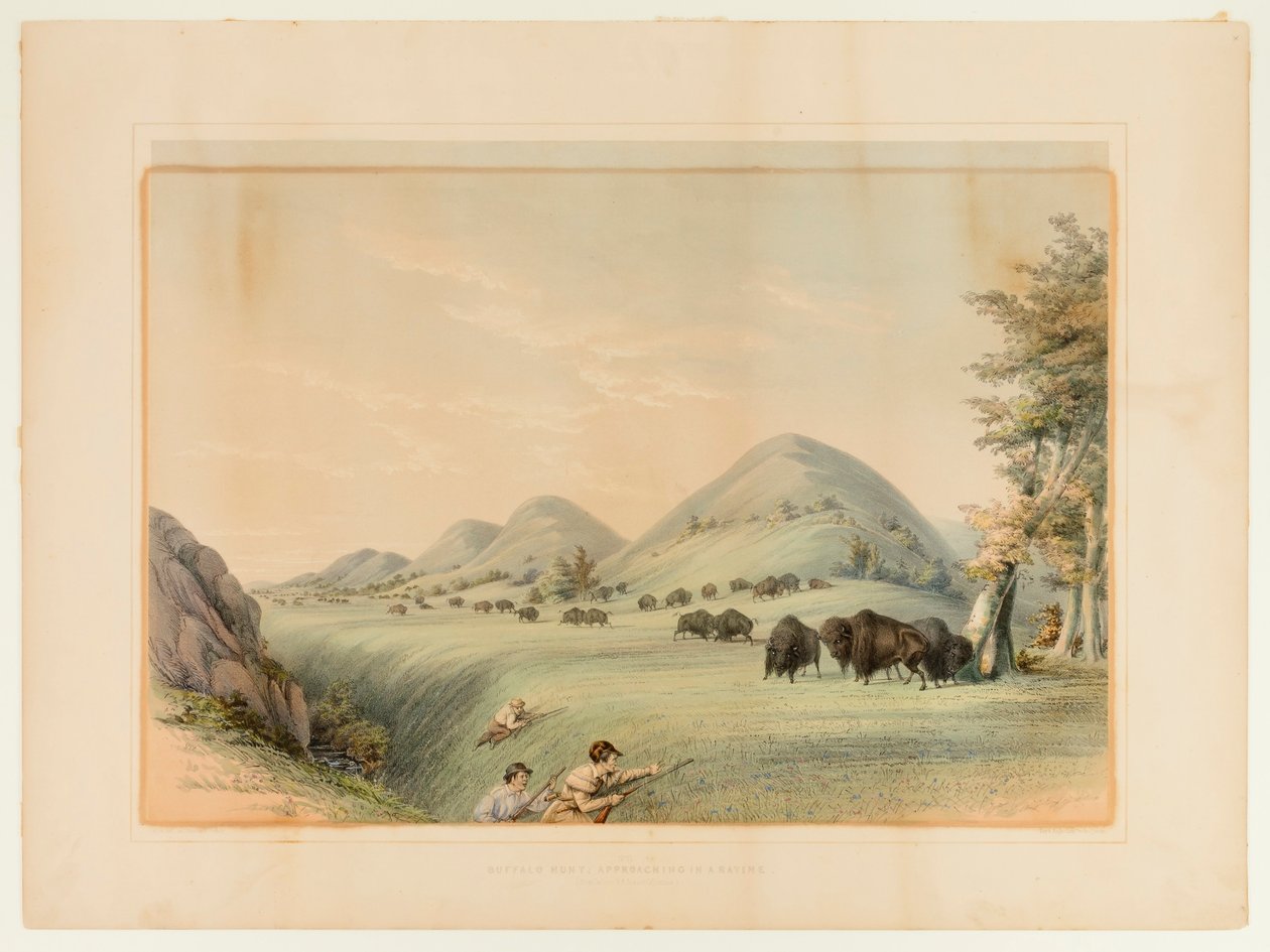 Caça ao búfalo; Aproximação numa ravina - n.º 11 de George Catlin