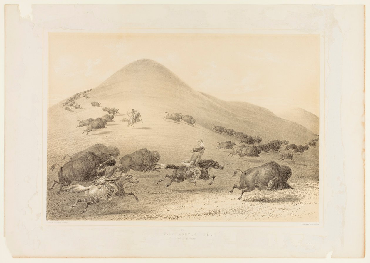 Caça ao Búfalo, Chase--no. 6 de George Catlin