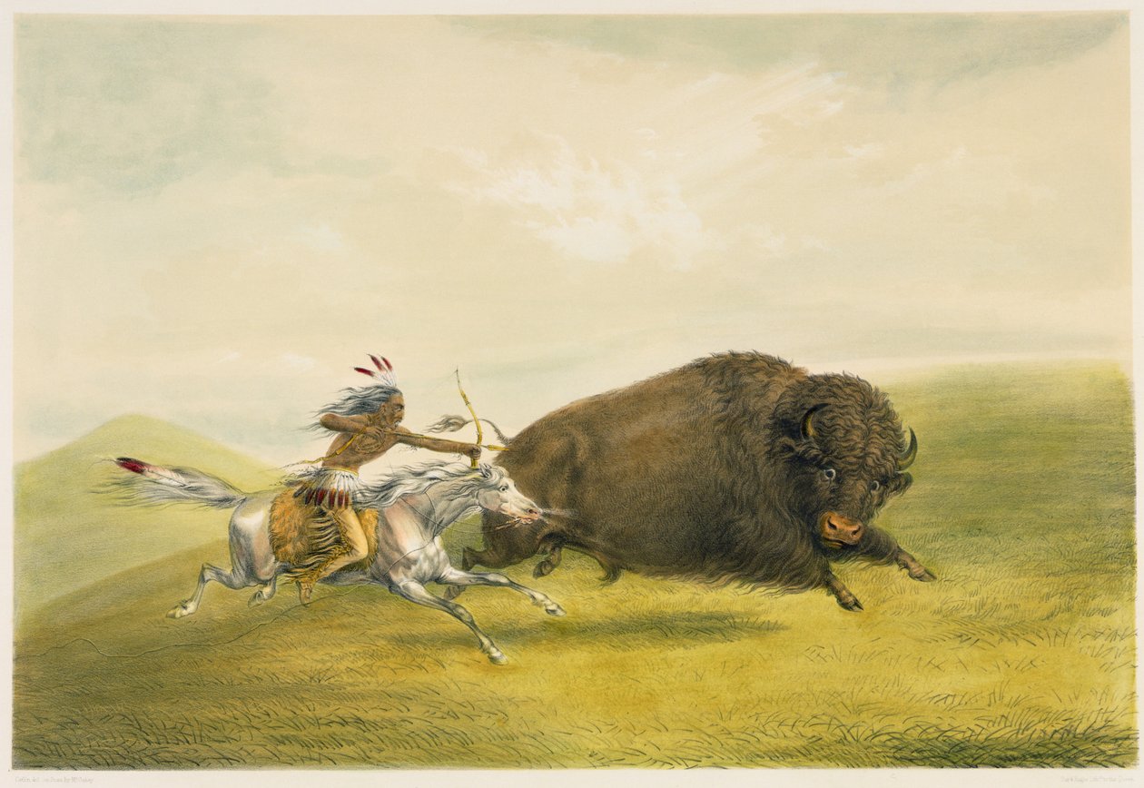 Buffalo Hunt Chase (litografia a cores) de George Catlin