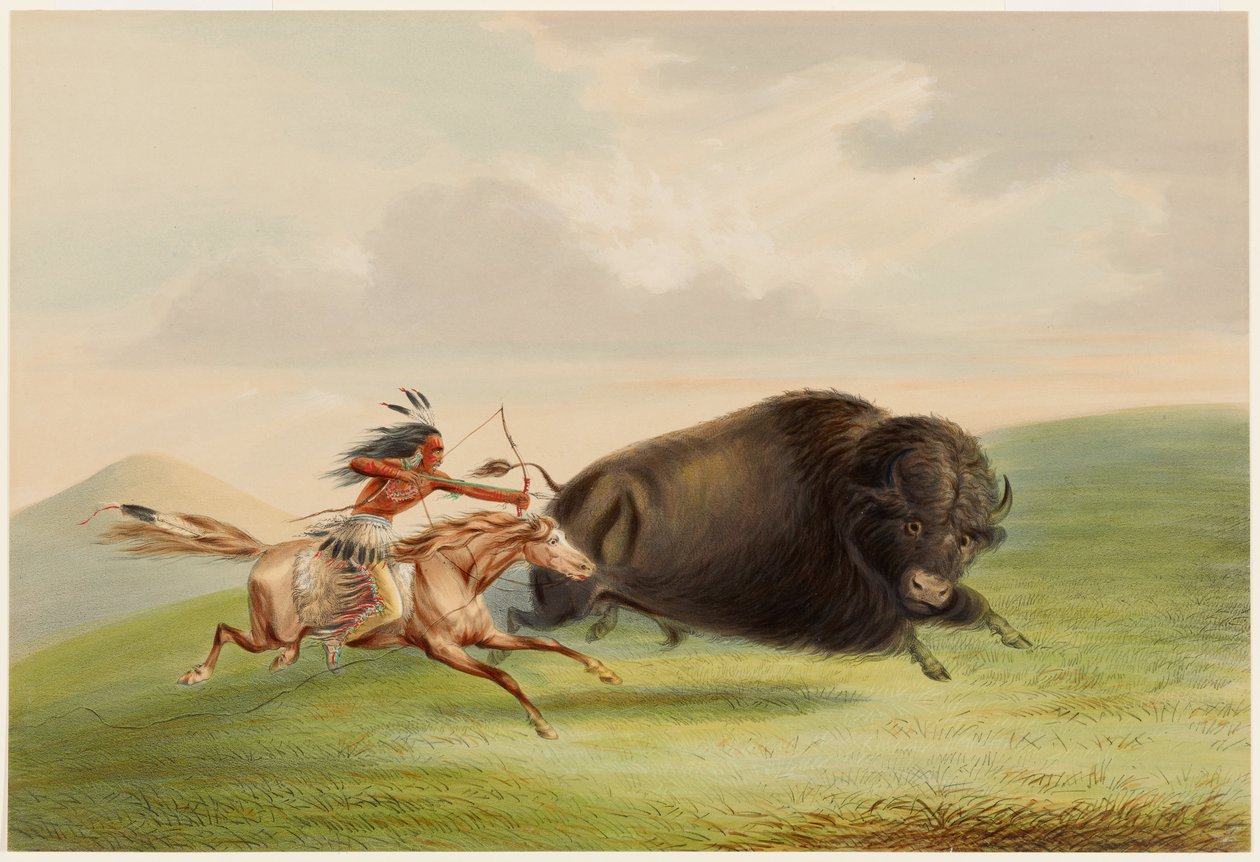 Caça ao búfalo, Perseguição de George Catlin