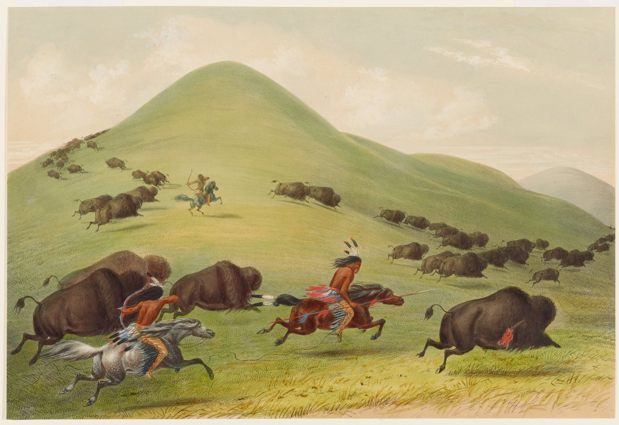 Caça ao búfalo: perseguição de George Catlin