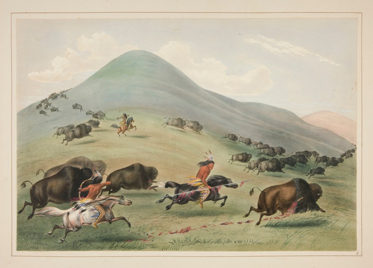 Buffalo Hunt, Chase, pl. 6 do North American Indian Portfolio de George Catlin