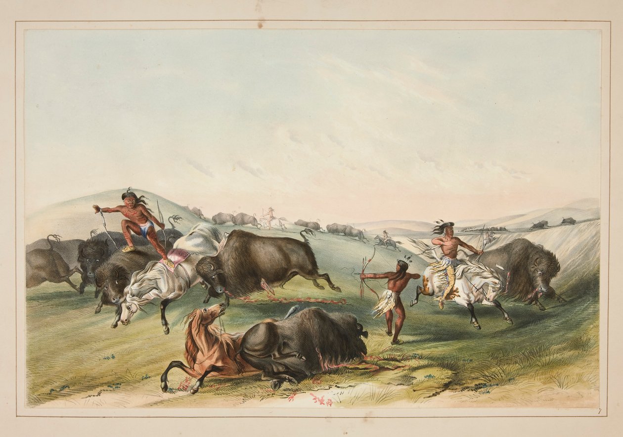 Buffalo Hunt, Chase, pl. 7 da carteira indígena norte-americana de George Catlin