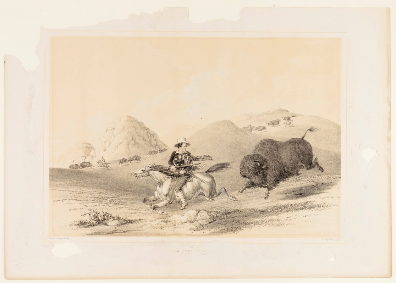 Buffalo Hunt Chasing Back nº. 12 de George Catlin