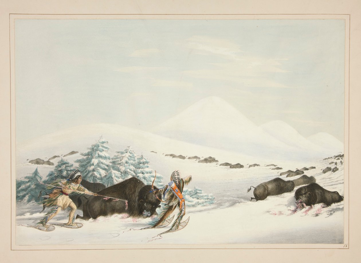 Buffalo Hunt, On Snow Shoes, pl. 15 do North American Indian Portfolio de George Catlin