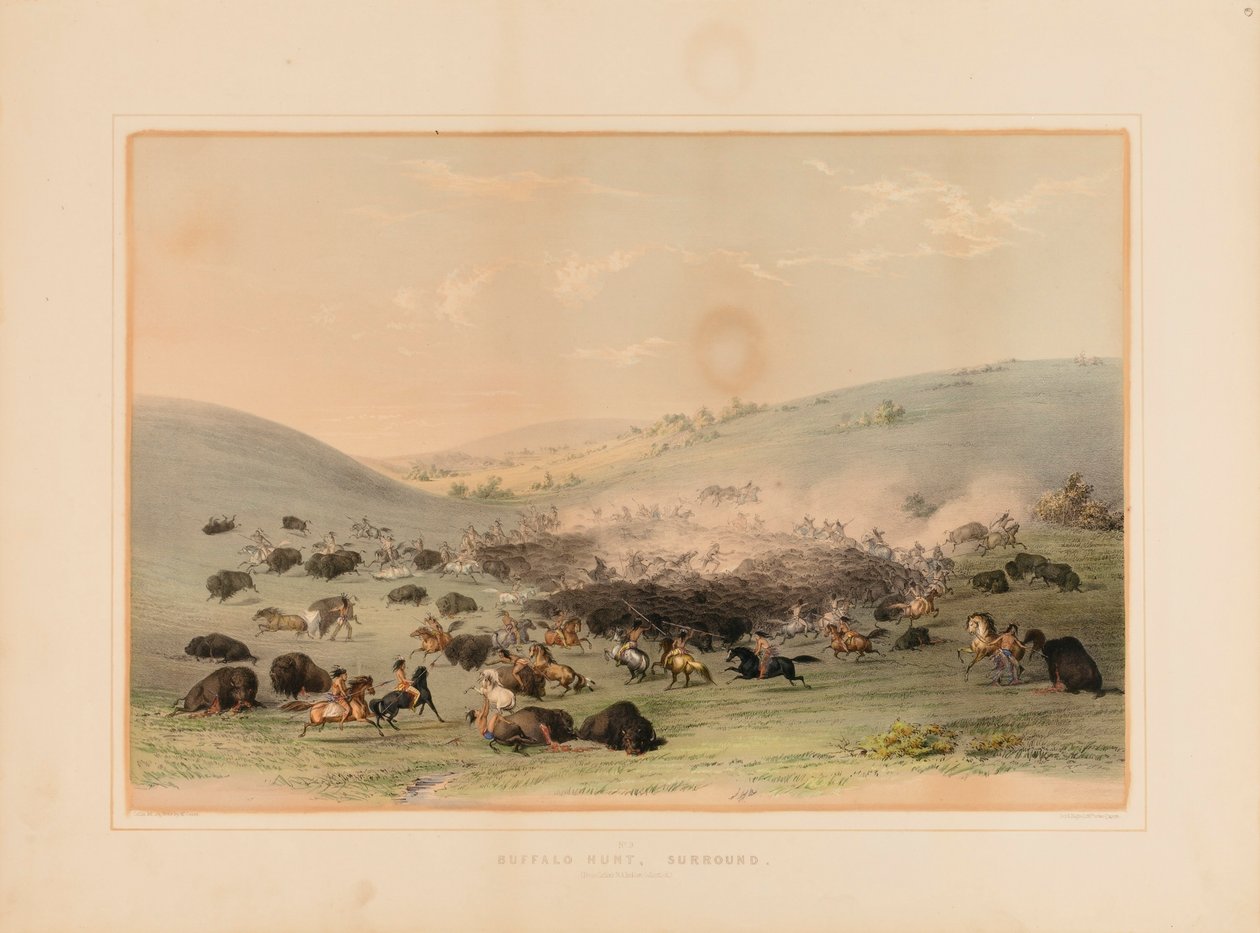 Caça ao búfalo - nº 9 de George Catlin
