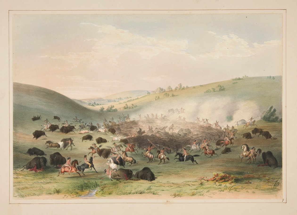 Buffalo Hunt, Surround, pl. 9 da carteira indígena norte-americana de George Catlin