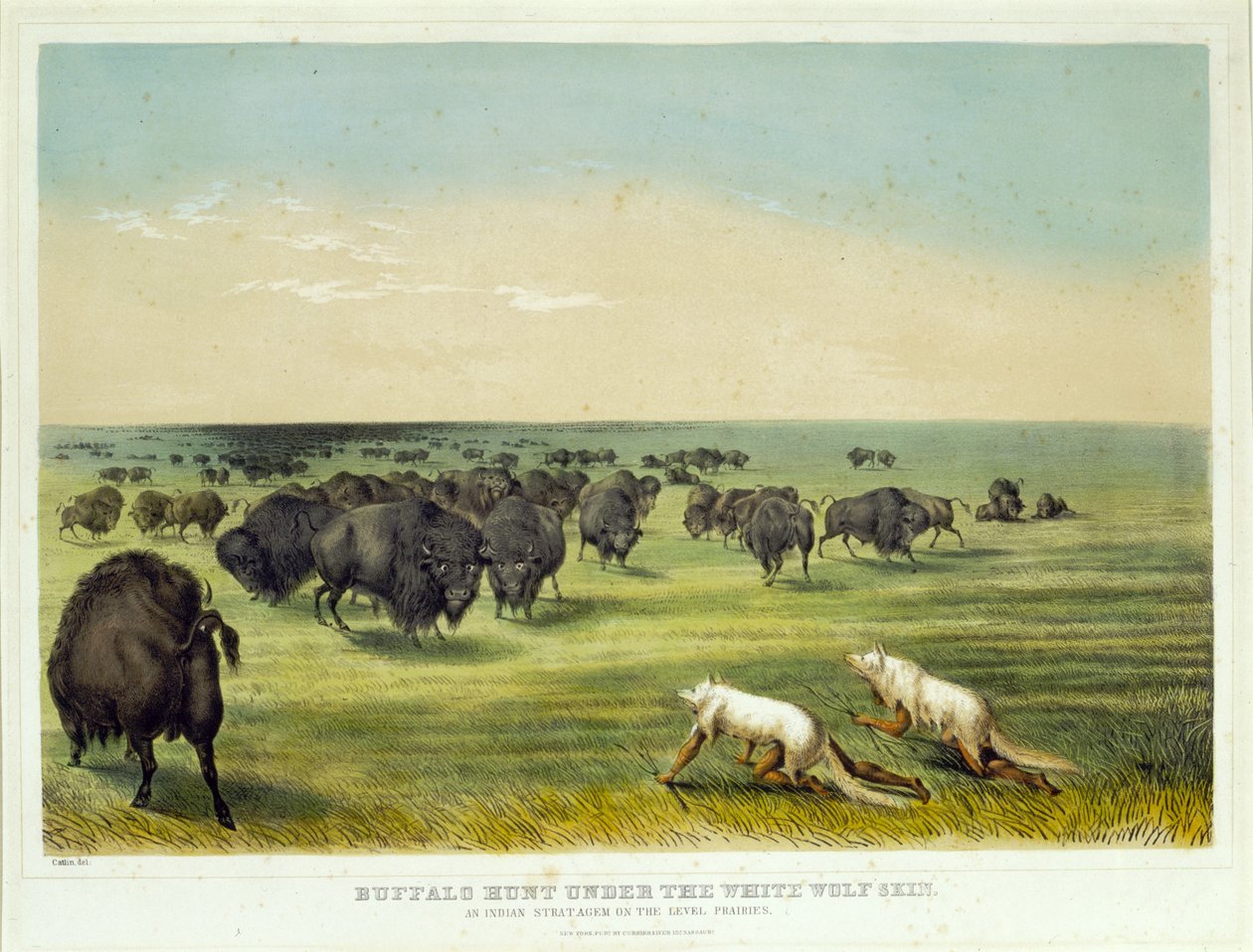 Caça ao bisonte sob a pele do lobo branco de George Catlin