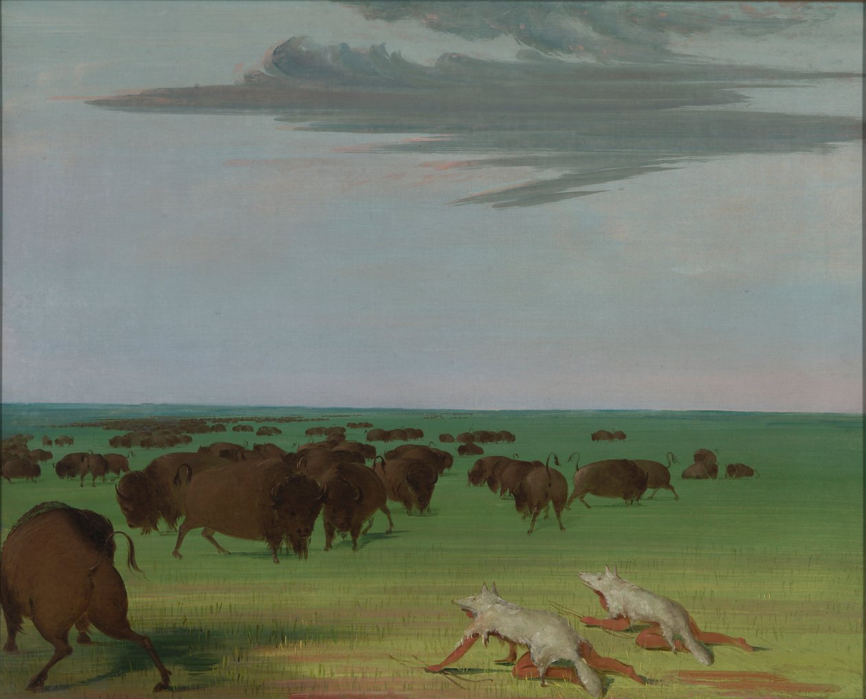 Caça ao búfalo sob a máscara de pele de lobo de George Catlin