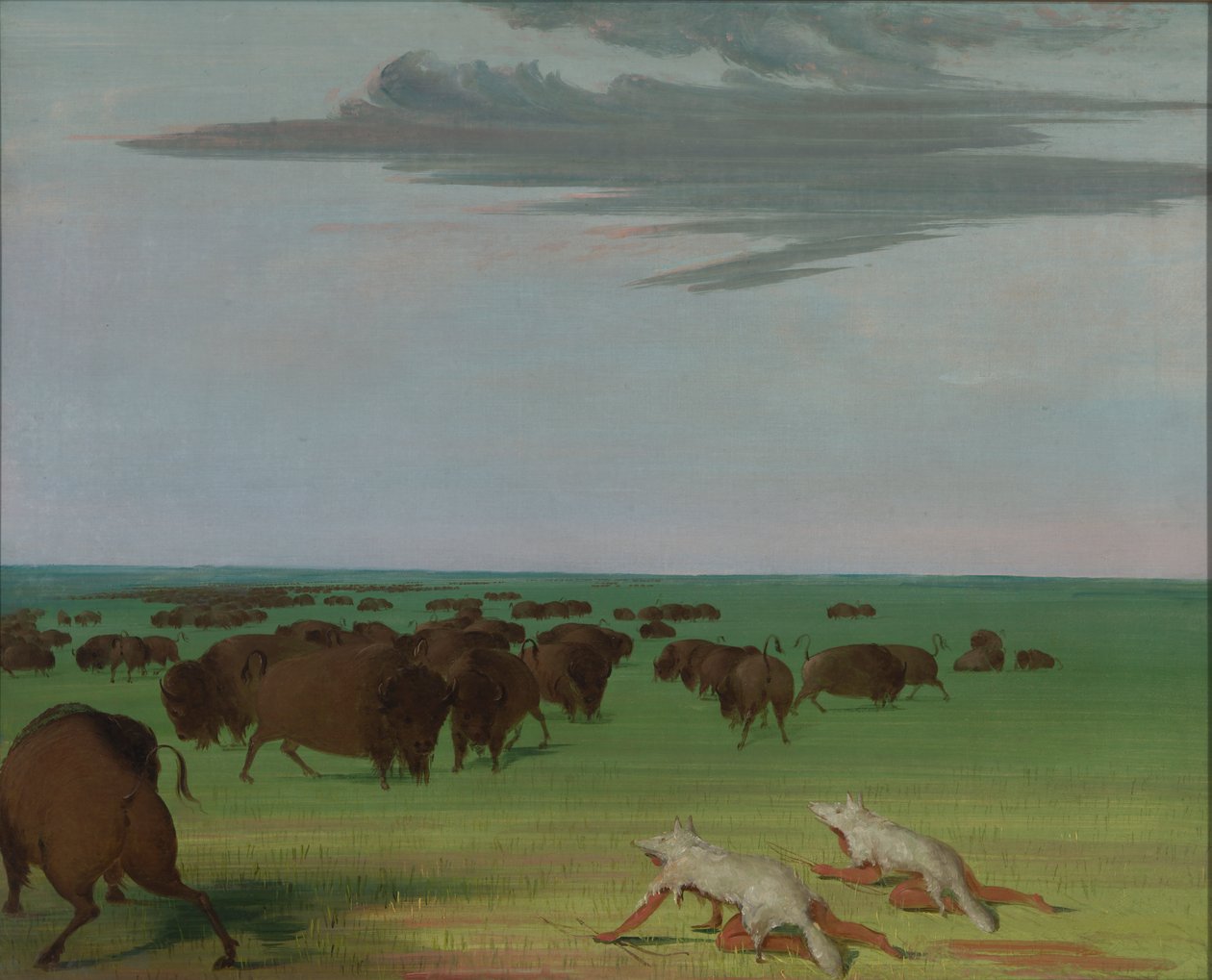 Floresta. de George Catlin