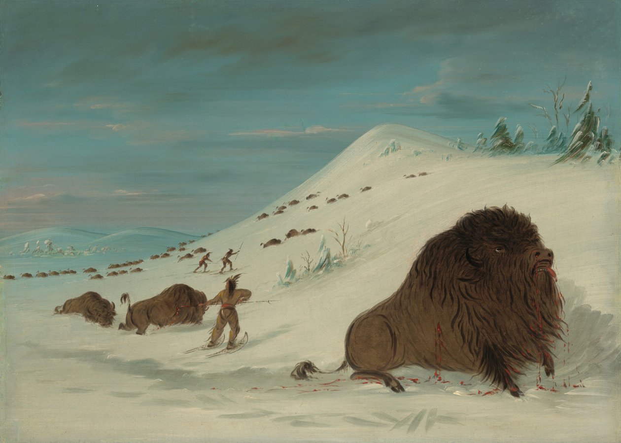Buffalo Lancing in the Snow Drifts - Sioux, 18611869. de George Catlin