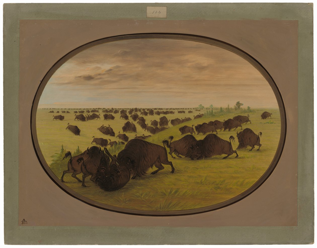 Luta de touros de George Catlin