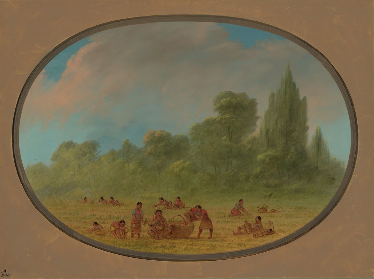 Caddo Indians Colhendo Morangos Silvestres, 18611869. de George Catlin
