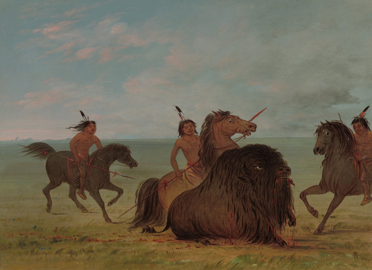 Camanches lançando um touro búfalo, 18611869. de George Catlin
