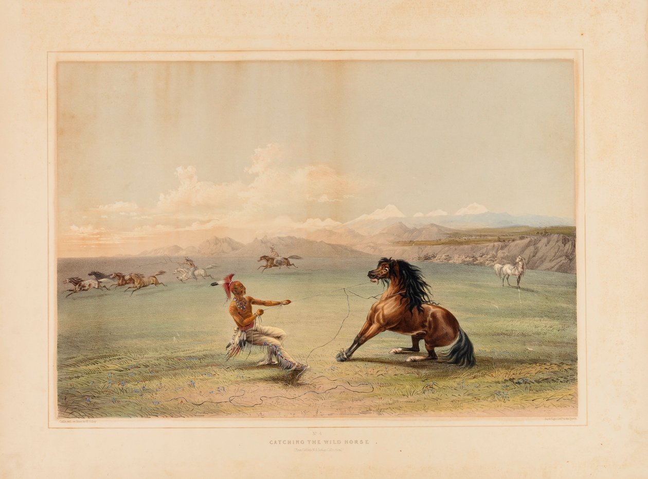 Apanhar o Cavalo Selvagem--no. 4 de George Catlin