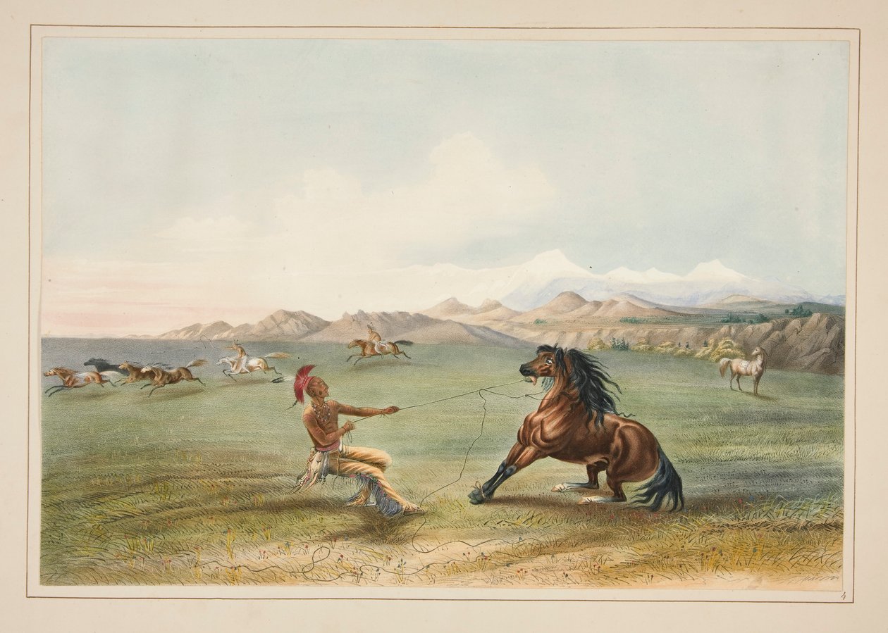 Apanhar o Cavalo Selvagem, pl. 4 da Carteira de Índios da América do Norte de George Catlin