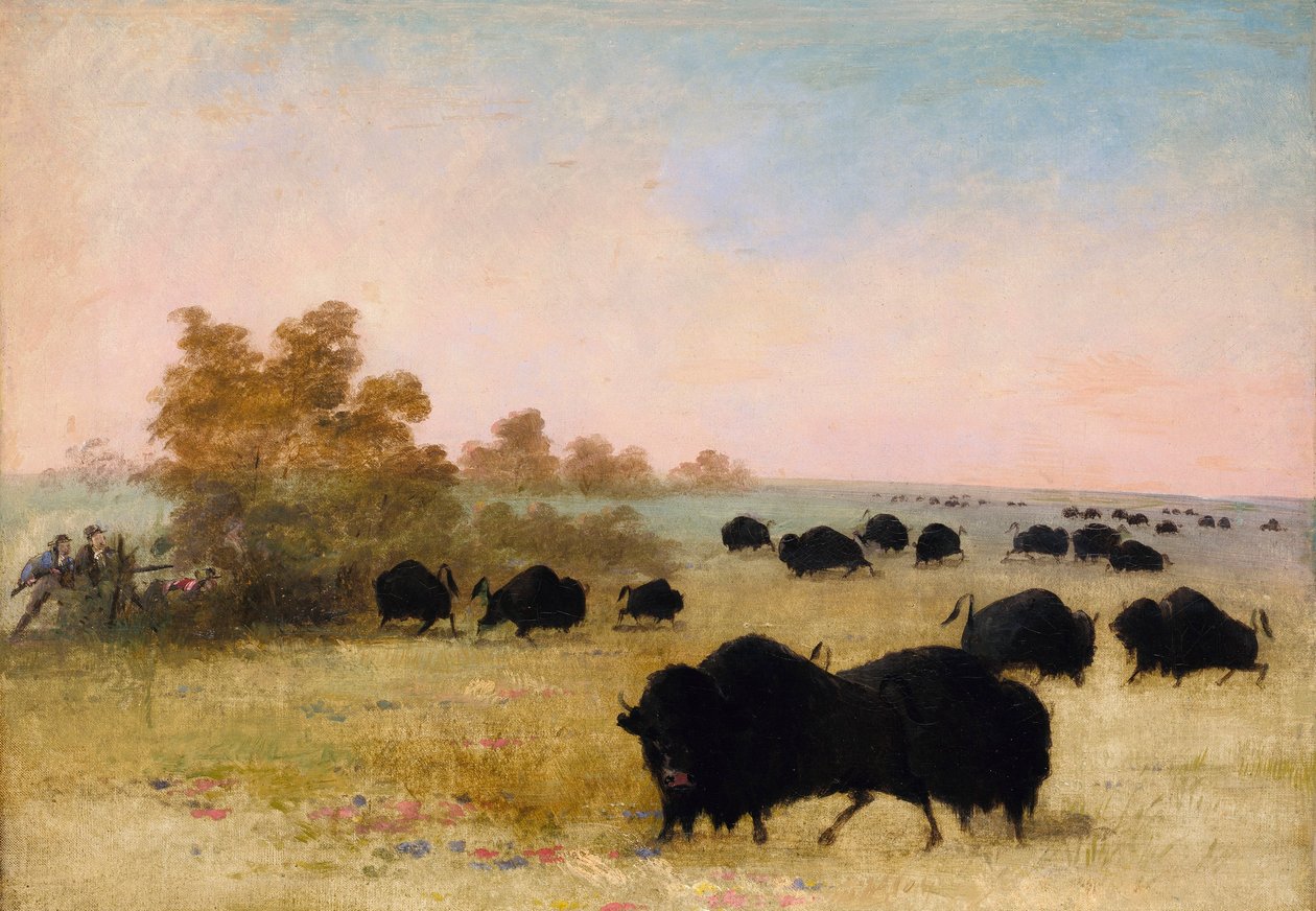 Catlin e Party perseguindo búfalos, Alto Missouri de George Catlin