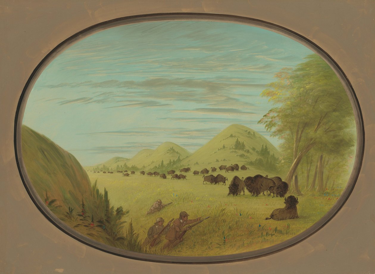 Catlin e dois companheiros atirando em búfalos, 18611869. de George Catlin