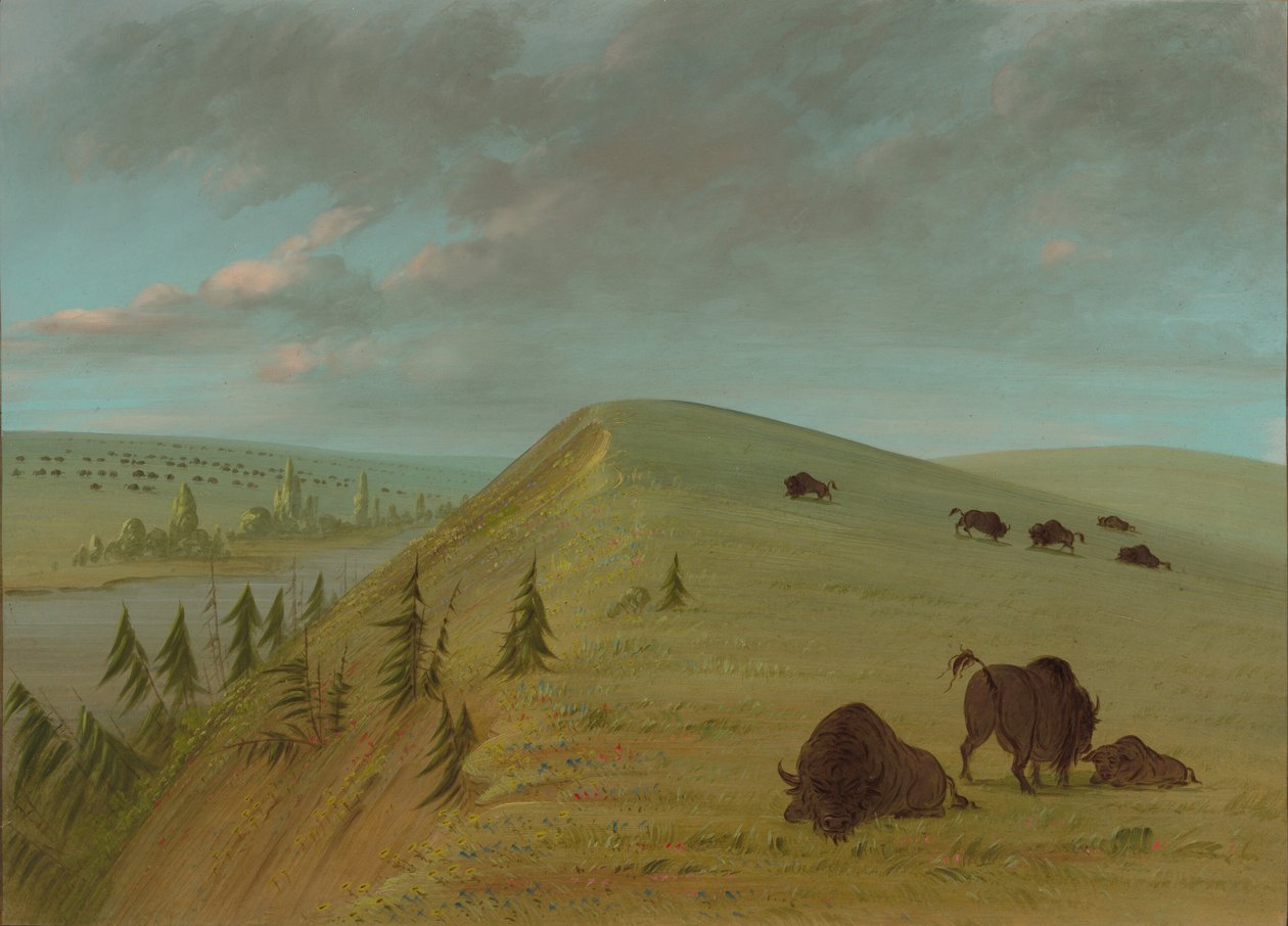 Cedar Bluffs, 18611869. de George Catlin