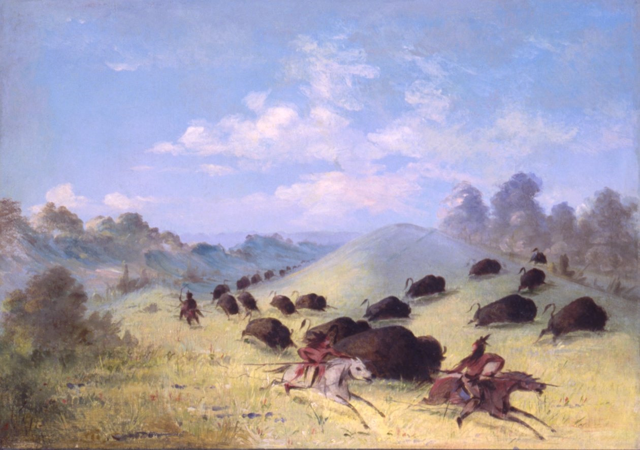 Índios comanches perseguindo búfalos com lanças e arcos de George Catlin