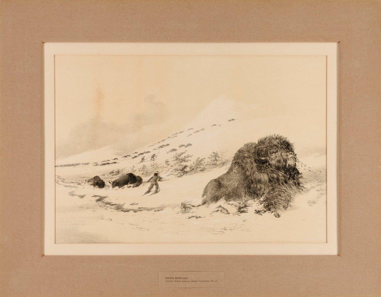 Búfalo moribundo--no. 17 de George Catlin