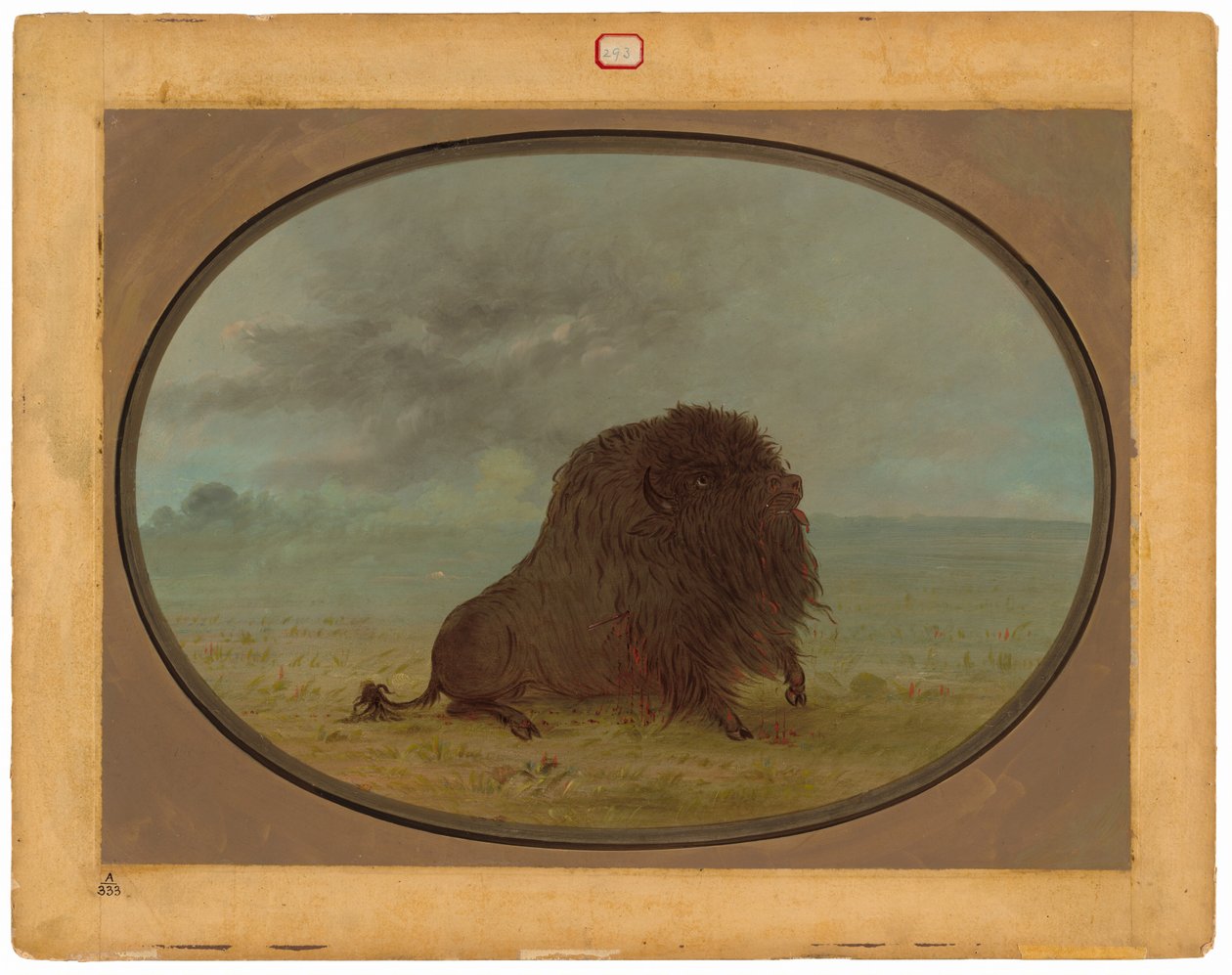 Touro Búfalo Morrendo de George Catlin