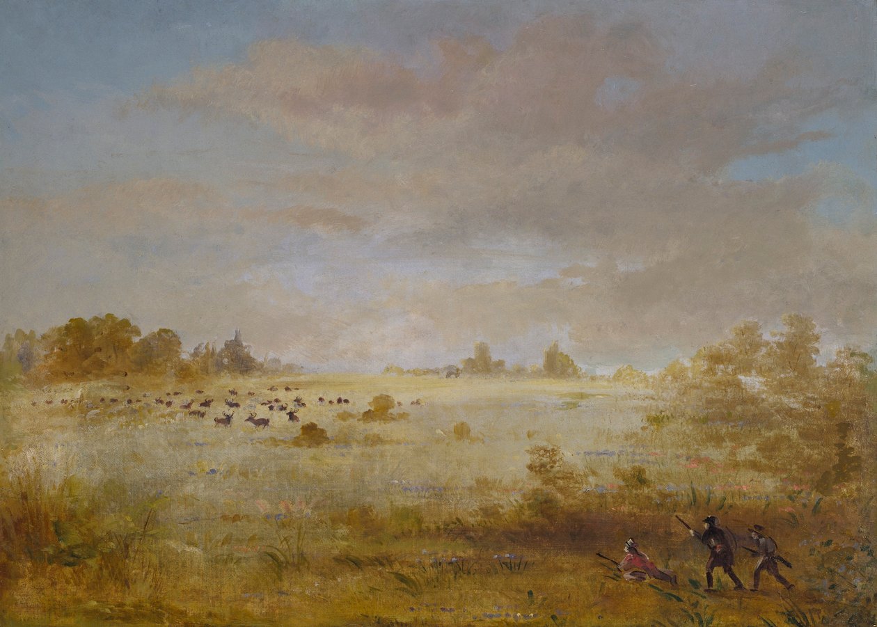 Alces a pastar numa pradaria de outono de George Catlin