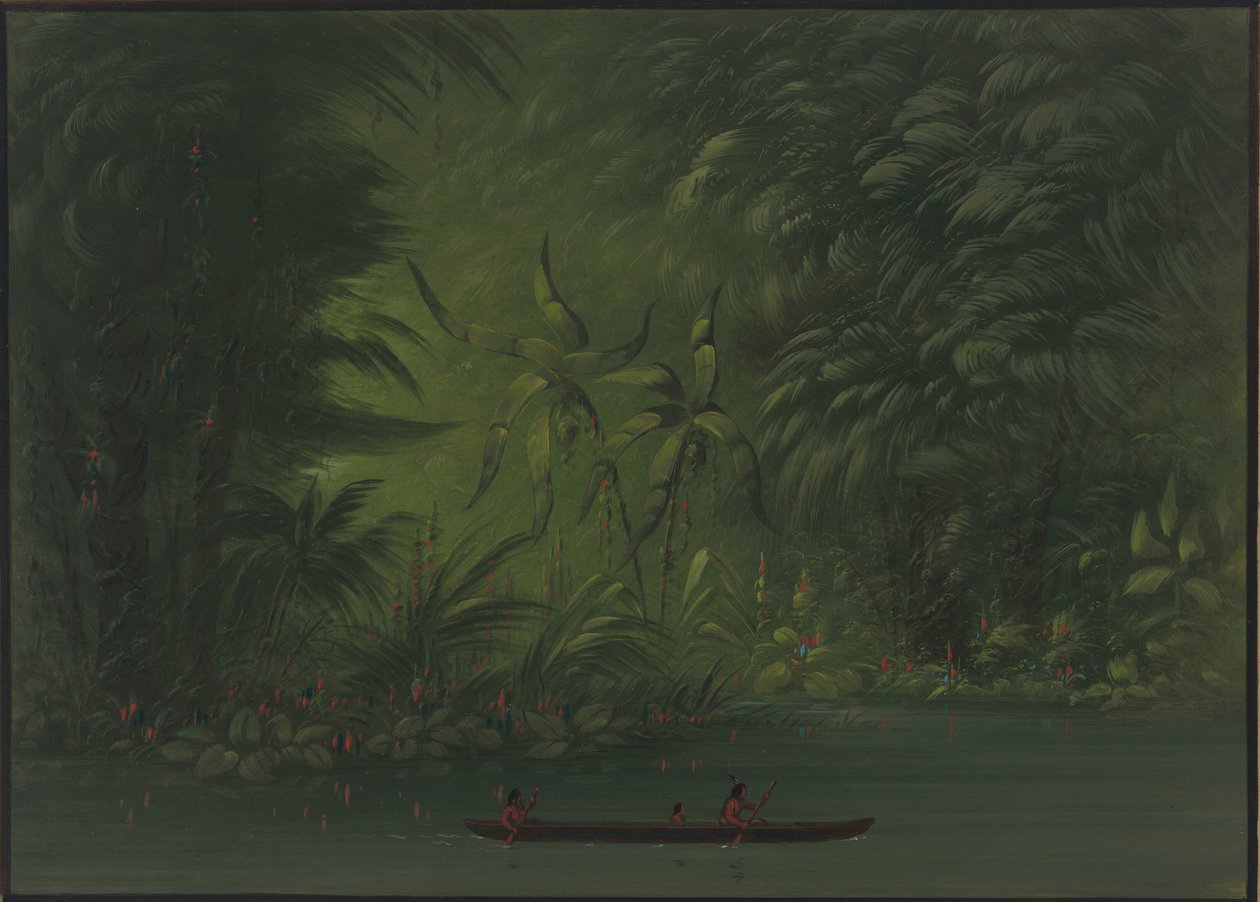 Entrada de uma Lagoa, Margem do Amazonas, 18541869. de George Catlin